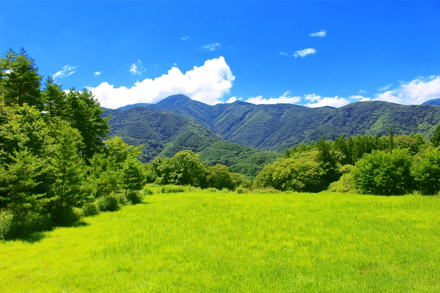 土地の活用法