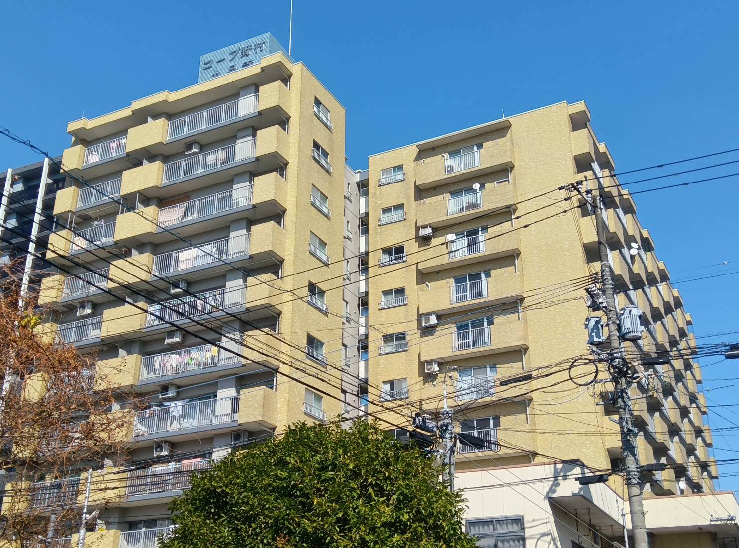熊本市中央区九品寺　マンションをお預かりしました。